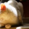 Thumbnail of related posts 079