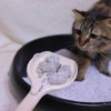 Thumbnail of related posts 055