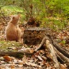 Thumbnail of related posts 030