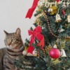 Thumbnail of related posts 173