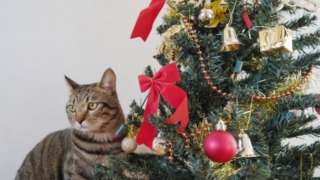 Thumbnail of post image 111
